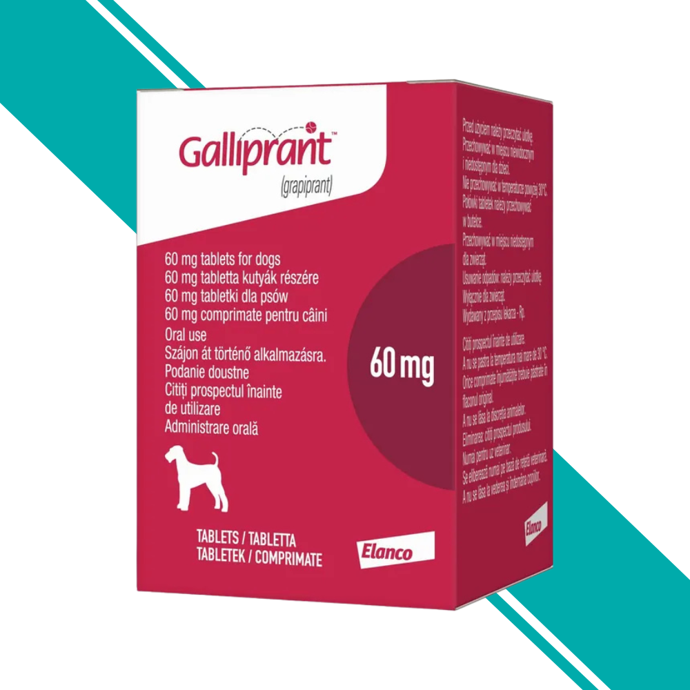 Galliprant 60mg Tablet for Dogs - Pack of 30